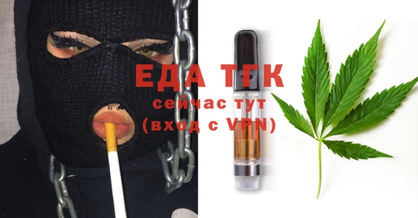 стаф Арсеньев