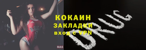 стаф Арсеньев