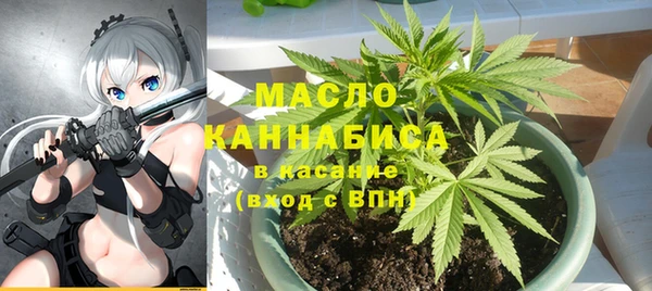 стаф Арсеньев