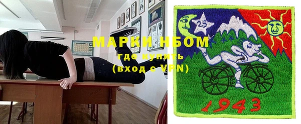 стаф Арсеньев