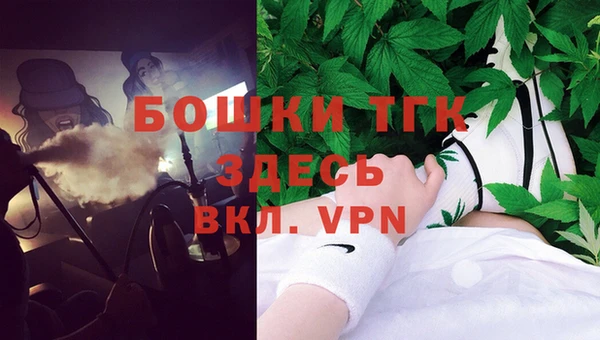 стаф Арсеньев