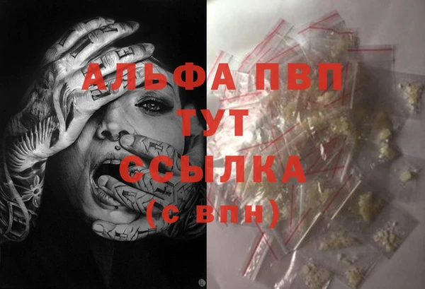 стаф Арсеньев