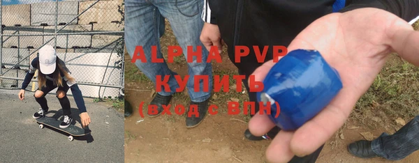 стаф Арсеньев