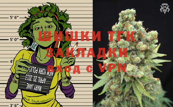 стаф Арсеньев