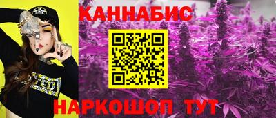 шишки Гусиноозёрск