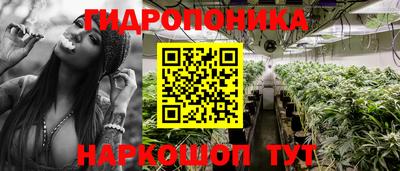шишки Гусиноозёрск