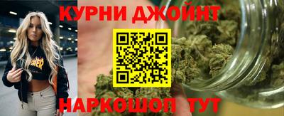 гашик Гусь-Хрустальный