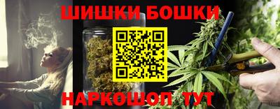 гашик Гусь-Хрустальный
